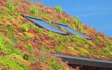 Market Warsop living roof systems